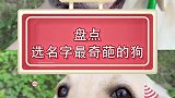 勾爸这下是彻底完蛋了呀