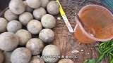 印度大妈街头卖“木苹果”，1元一个，城里人把它全买光了