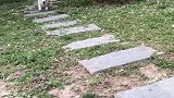 强迫症皮皮，必须要走台阶