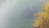 网友偶然拍到河水中竟然趴着一辆汽车，它是怎么进去的