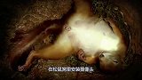 在松鼠窝里安装摄像头，看看这家伙在窝里干啥了？结果让人意外