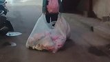 考试失利女儿捡垃圾家庭原因从小养成的节约习惯，孩子很懂事