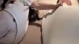 这是找了一个什么玩意