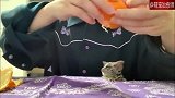 伸出小爪爪要吃橘子的婴猴，赶紧给它吃啊！