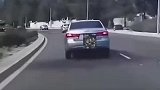 这是什么情况啊