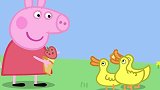 小猪佩奇：小猪佩奇的野餐结束啦，和鸭子们说再见吧
