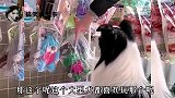 搞笑配音：不是说建国之后动物不能成精吗