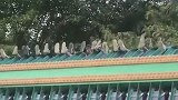 看看这个龙卷风，有谁没有玩过的吗