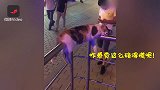 超萌！“醉酒”猫咪展现高难度睡姿