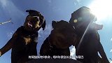 主人长期和猫一起睡，偶然查看卧室监控，看看猫咪都在干啥