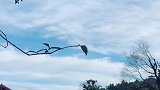 来丽江吧！看风轻云淡，看百花齐放，看最美风景。