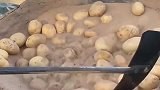 这就是传说中的土豆泥吗，整个土豆被丢进沙子中炒，什么时候能熟