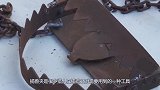 人踩到捕兽夹有多吓人？老外用牛腿骨模拟，结果真是没眼看