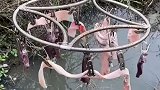 我愿称之为钓虾达人，错看成衣服的应该不只我一个吧