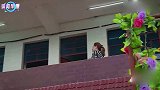明星儿媳有多不听使唤？婆婆让黄圣依去喂猪，黄圣依的反应太真实