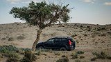 哈弗H9沙漠惊险陷车 越野蠕行模式能拯救吗？
