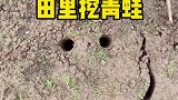 我记得一般都是小青蛙，打开的时候吓我一跳