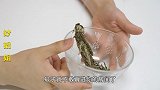 农村姑娘用艾叶泡脚，结果没想到有这么大的作用，厉害了