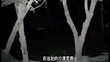 你真的知道鬼火烧的是什么吗！！
