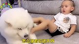 自从有了狗狗给小男孩撑腰，小男孩不但不害怕主人，还胆子大了