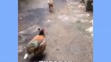 投胎是门技术活啊