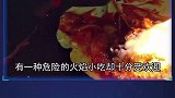 最有趣的新鲜事物