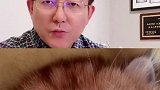 你有起床气吗？来找我原因吧生活方式医学 中华生活方式医学 中国生活方式医学 睡眠 失眠