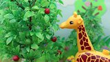 白雪公主和长颈鹿比谁的本领大，你们觉得谁赢了？