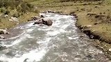 青山绿水，溪水哗哗