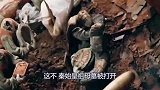 秦始皇祖母墓被打开，墓中发现一灭绝动物，引起各国专家注意！