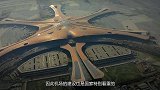 北京大兴国际机场旁，那几十万个坛子里装的是什么？看完涨知识了