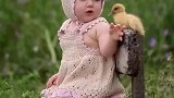 人类幼崽和小鸡相处的画面好治愈