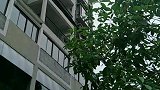 应大家要求发个周边环境