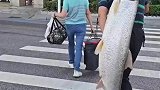 这么重为什么不打个车呢？钓鱼佬：没事，我扛得动