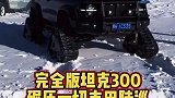 坦克300完整版来了