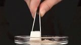 科学实验大玩家