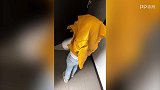 英超-1718赛季-父爱满满！女儿门外搞怪 J罗笑容灿烂-新闻