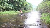 农村小伙野外盖河坝，徒手抓了很多大鱼，多少人的童年回忆