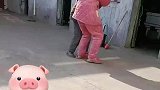 姐弟俩相爱相杀的一幕，弟弟被摔得原地转圈