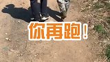 山东威海警察跑步3公里追捕小偷，把小偷累到吐。