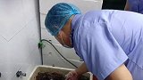 西安排查胖哥俩肉蟹煲：用的活蟹、未发现腐败变质现象
