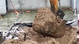 被平头哥支配的恐惧，村民不惜下雨启动挖掘机，也要将它抓起来！