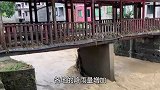 中国人正努力防洪，国外却出现另一危机，中国公民需警惕！