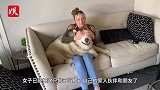 女子假装埋土里，测试阿拉斯加忠诚，下一秒狗子反应承包1年笑点