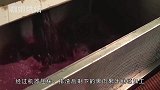 太重口味了！世界顶级的葡萄酒，原来是工人光脚踩出来的？！