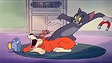 猫和老鼠：汤姆和杰瑞联手整治闪电猫，夺回地盘！