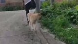 完了来晚了，地盘被抢了