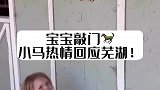果然只有小宝宝能和动物感应