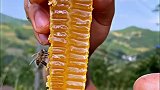 蜂蜜要趁热，这样才好吃