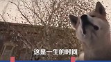 听说第二遍发会火